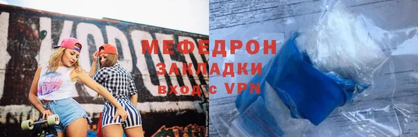 индика Михайловск