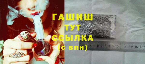 индика Михайловск