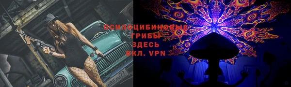 кокс Михайлов