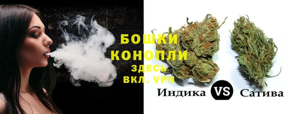 индика Михайловск