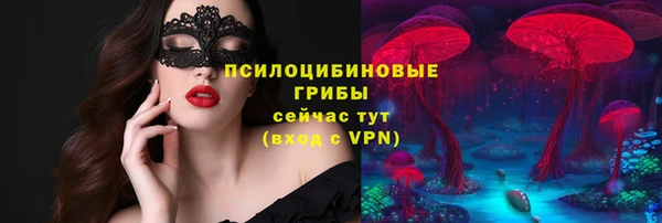 кокс Михайлов