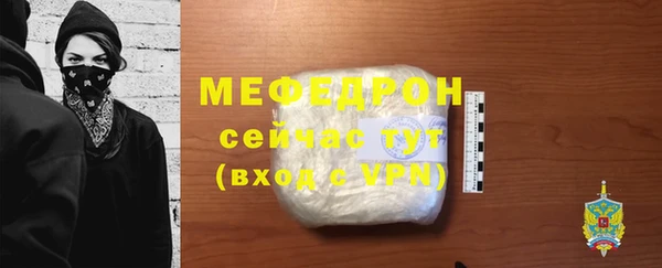 индика Михайловск