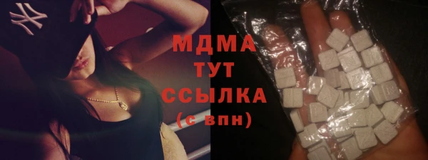индика Михайловск