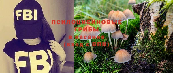индика Михайловск