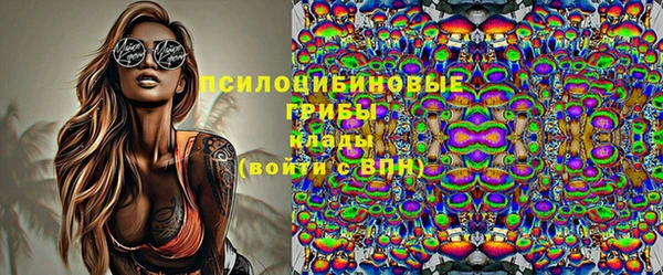 индика Михайловск