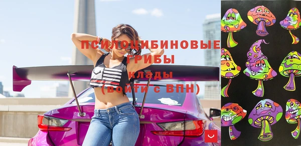 кокс Михайлов