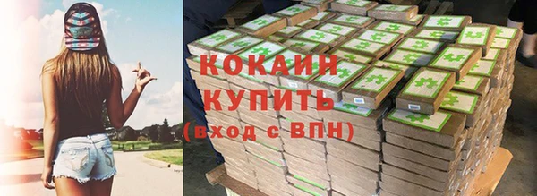 индика Михайловск