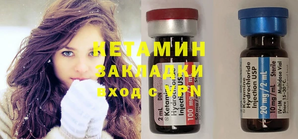 индика Михайловск