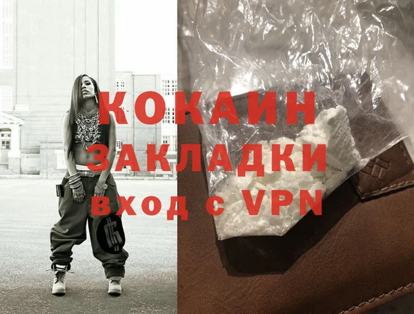 индика Михайловск