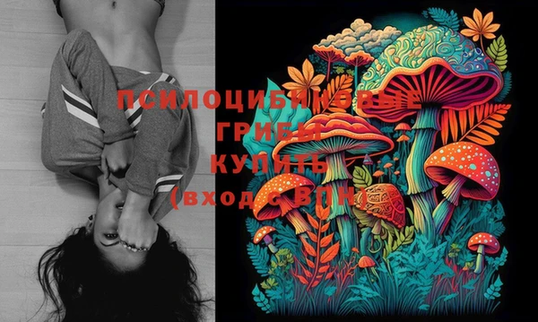 шишки Михайловка