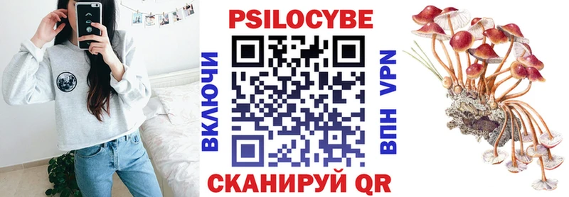 Галлюциногенные грибы MAGIC MUSHROOMS  цена наркотик  Магадан 