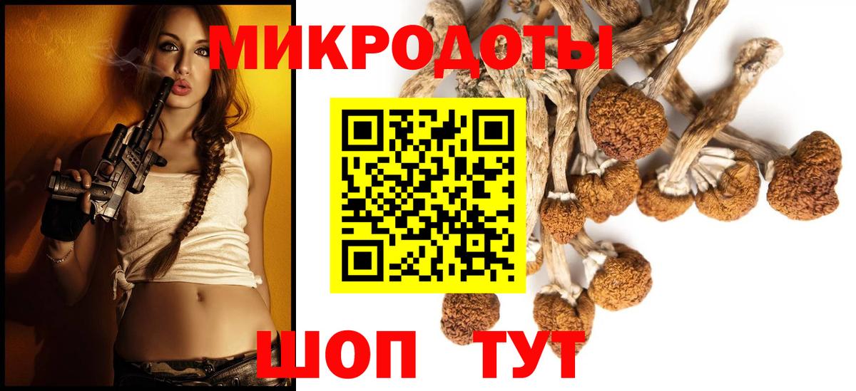 Псилоцибиновые грибы мухоморы Магадан