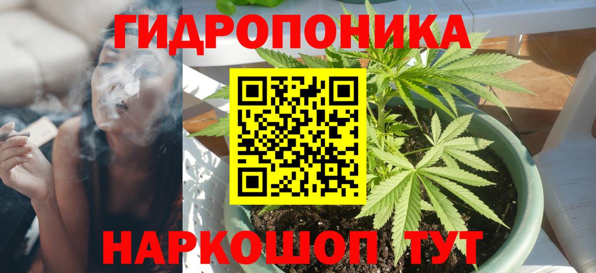 Шишки марихуана White Widow  Вход с VPN  Шишки марихуана THC 21%  Шишки марихуана гибрид  Марихуана White Widow  Магадан 